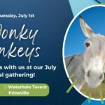 Wonky Donkeys July 1st 2025