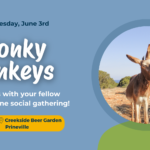 Wonky Donkeys June 2025