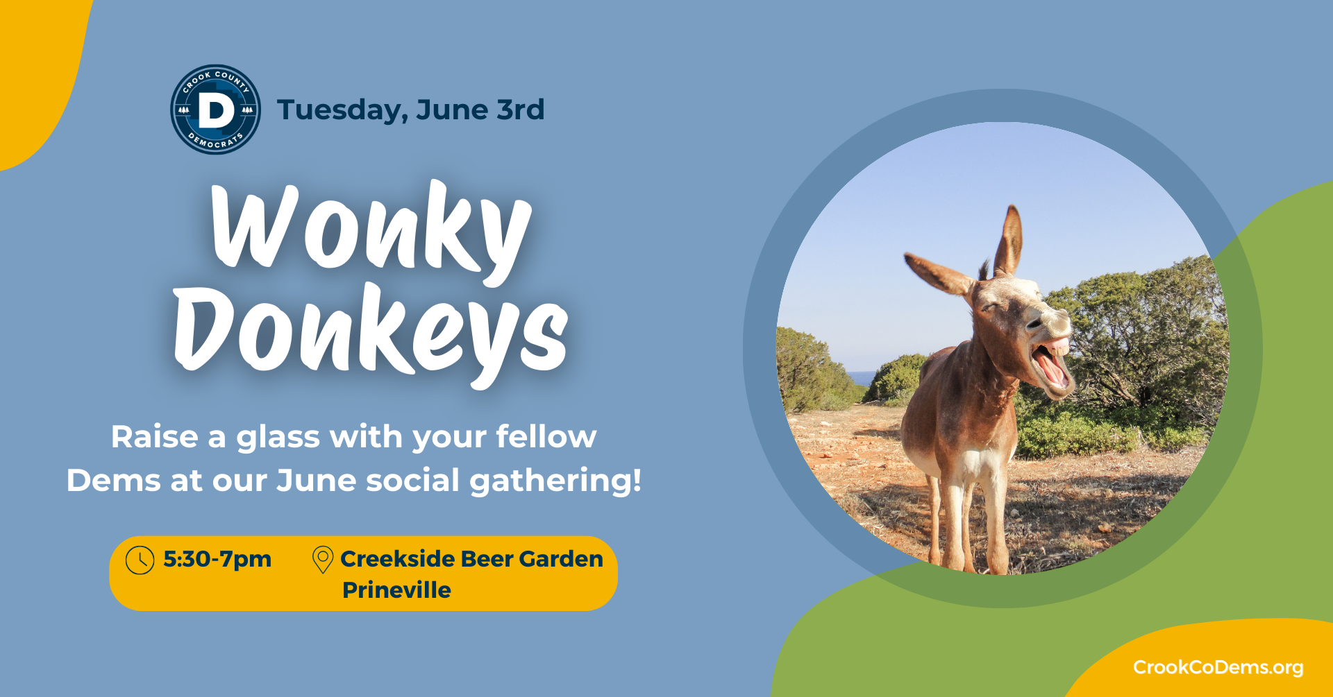 Wonky Donkeys June 2025