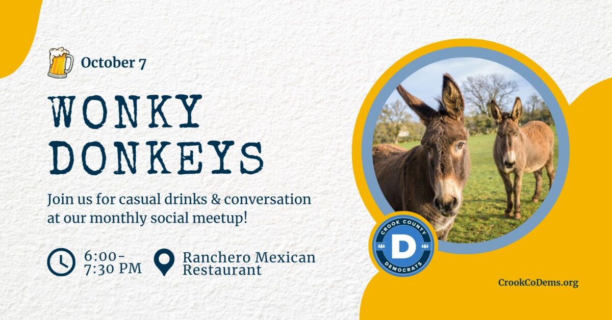 Wonky Donkeys October 2025