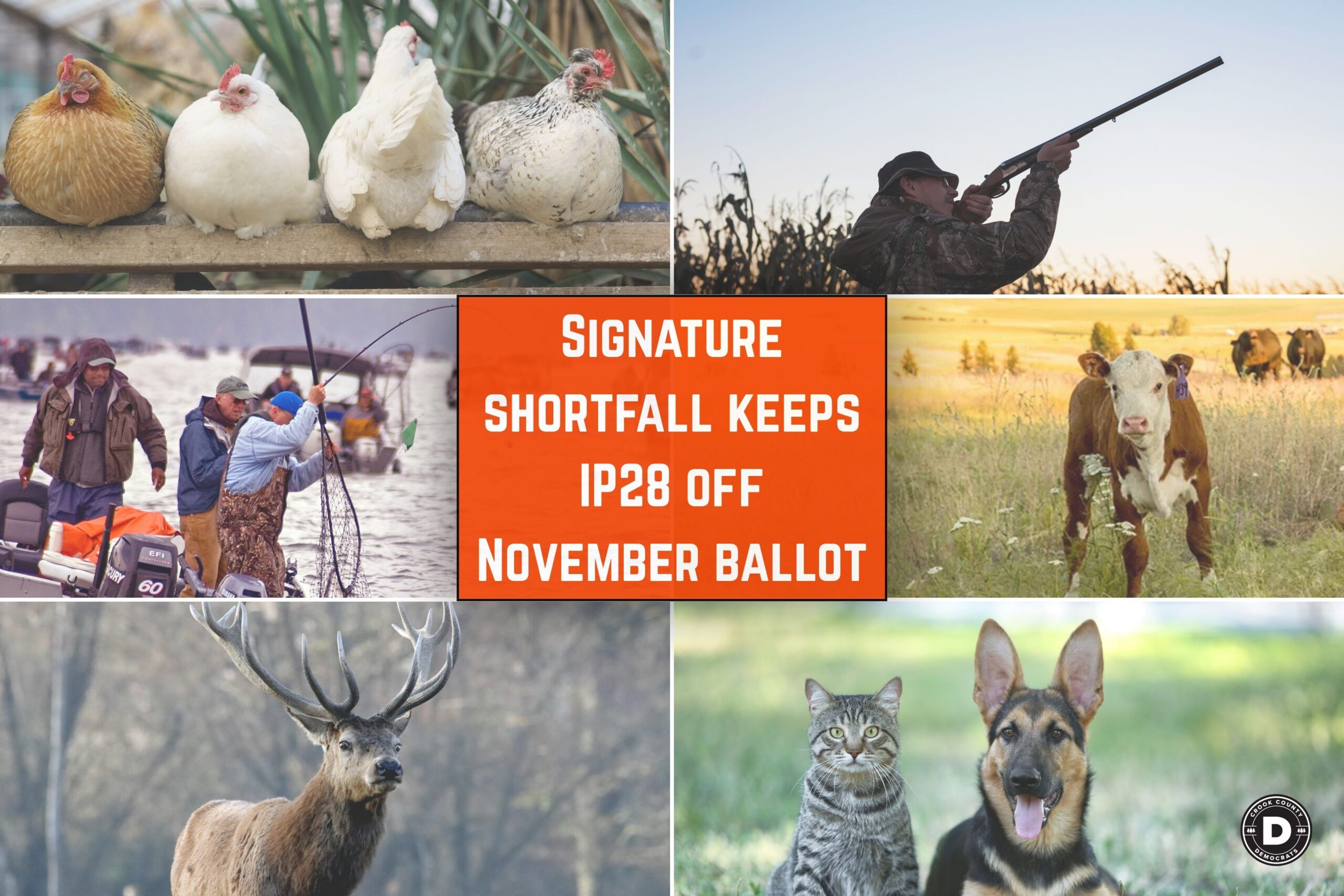 Signature shortfall keeps IP28 off November ballot